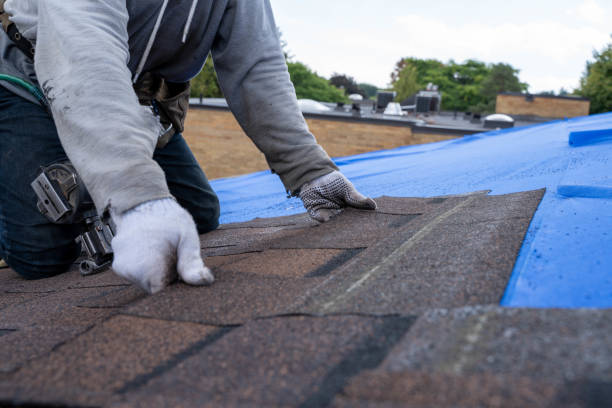Best Gutter Installation and Roofing  in Kerrville, TX
